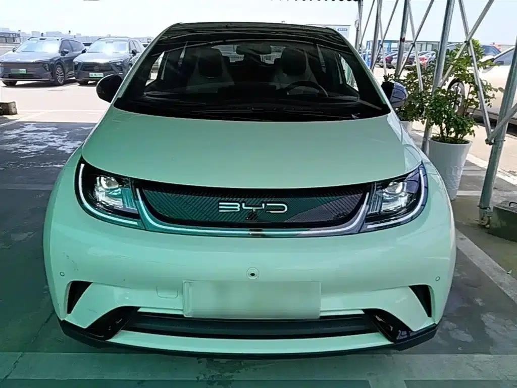 Dolphin 2023 420km Fashion Edition — миниатюра 3