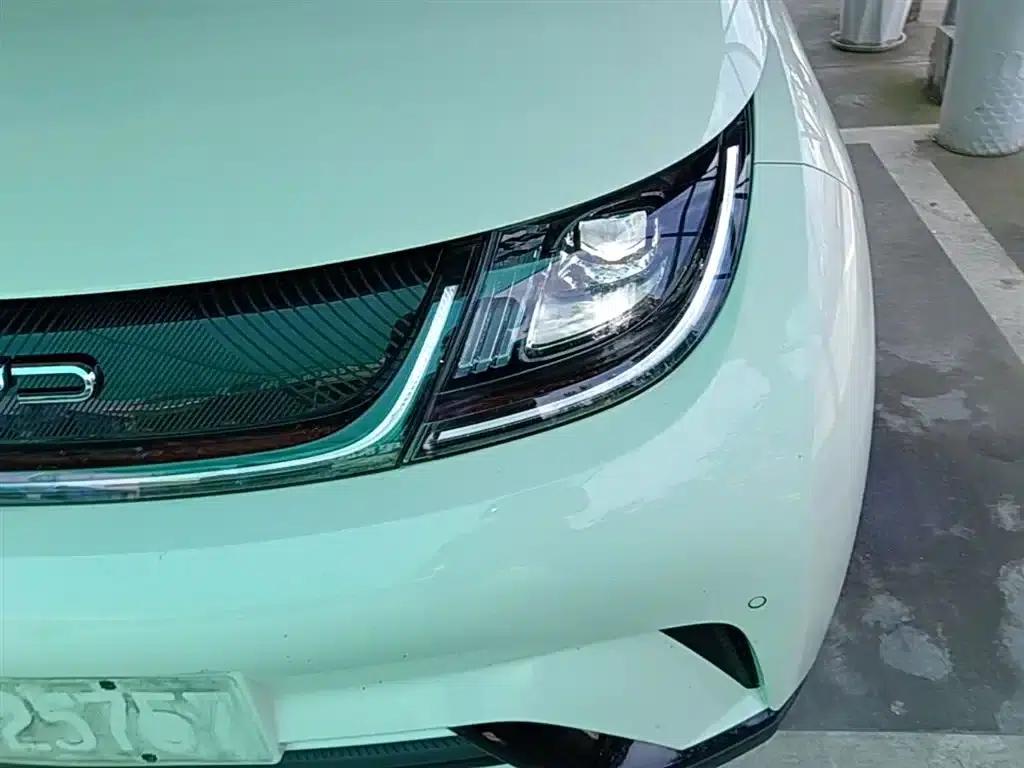 Dolphin 2023 420km Fashion Edition — миниатюра 24