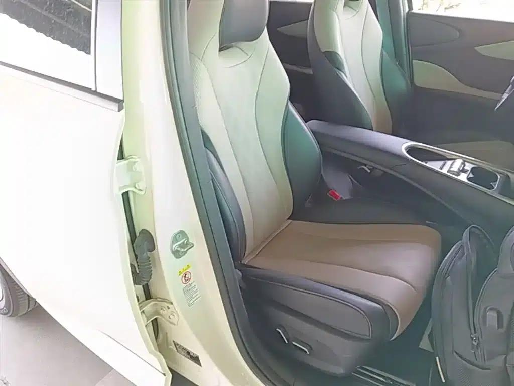 Dolphin 2023 420km Fashion Edition — миниатюра 25