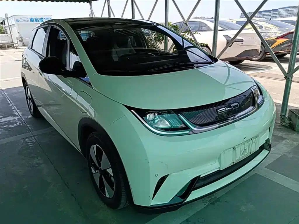Dolphin 2023 420km Fashion Edition — миниатюра 4