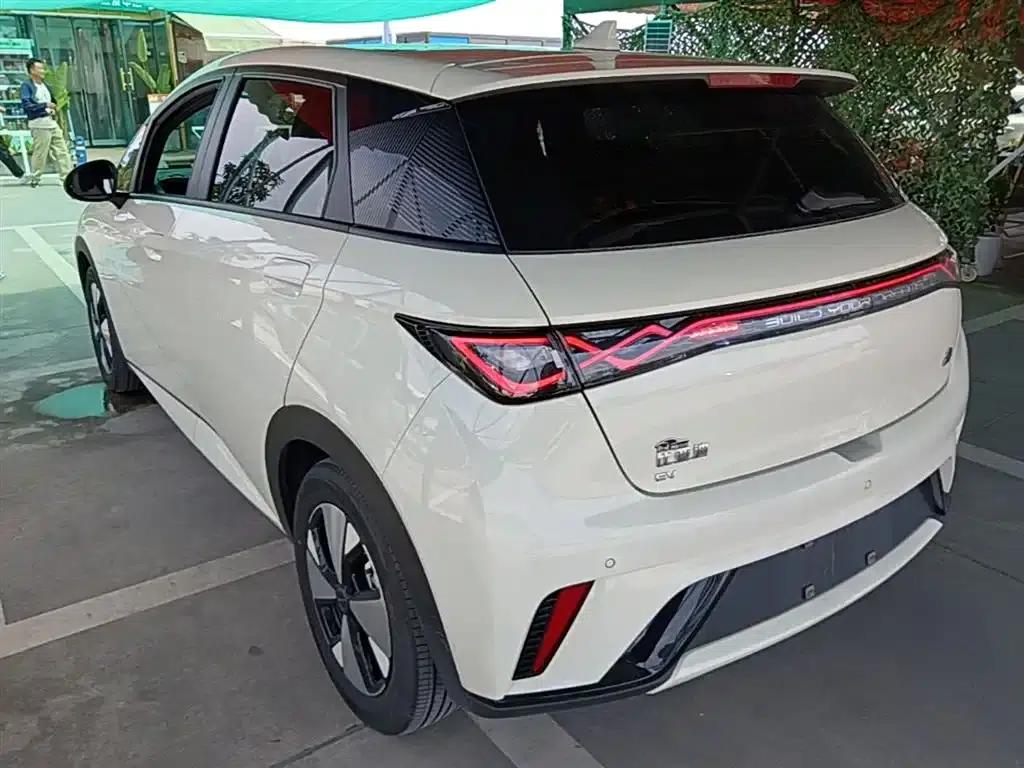Dolphin 2023 420km Fashion Edition — миниатюра 5