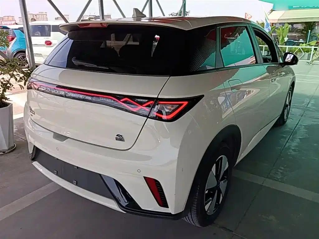 Dolphin 2023 420km Fashion Edition — миниатюра 7