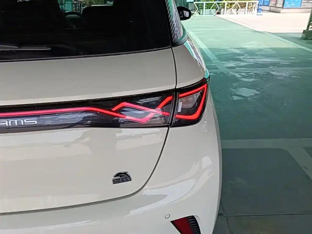 Dolphin 2023 420km Fashion Edition — миниатюра 8
