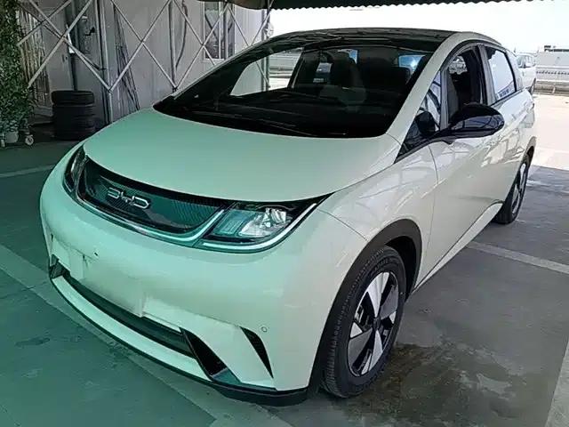 Dolphin 2023 420km Fashion Edition