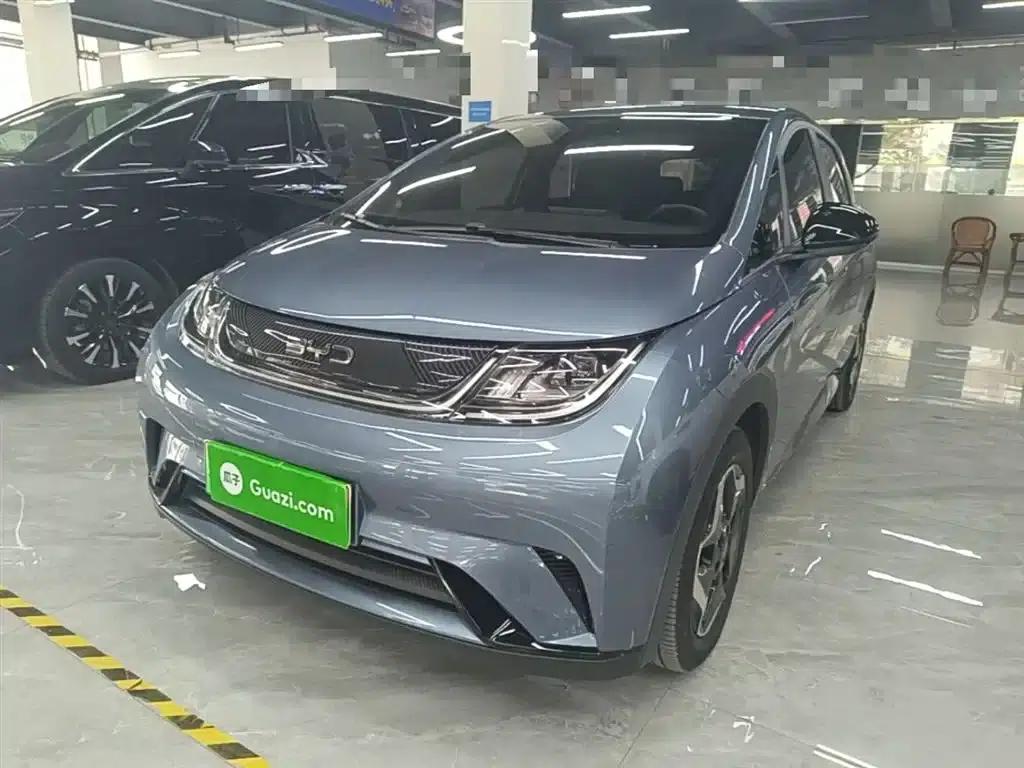 Dolphin 2025 420km Vitality Edition — миниатюра 2