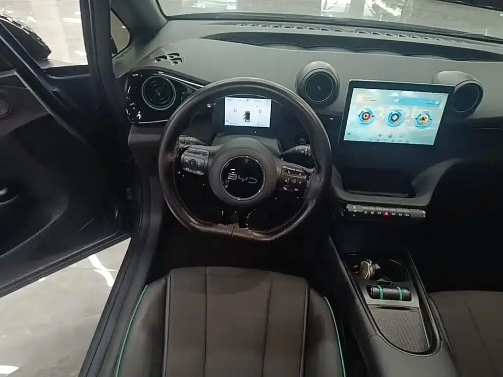 Dolphin 2025 420km Vitality Edition — миниатюра 11