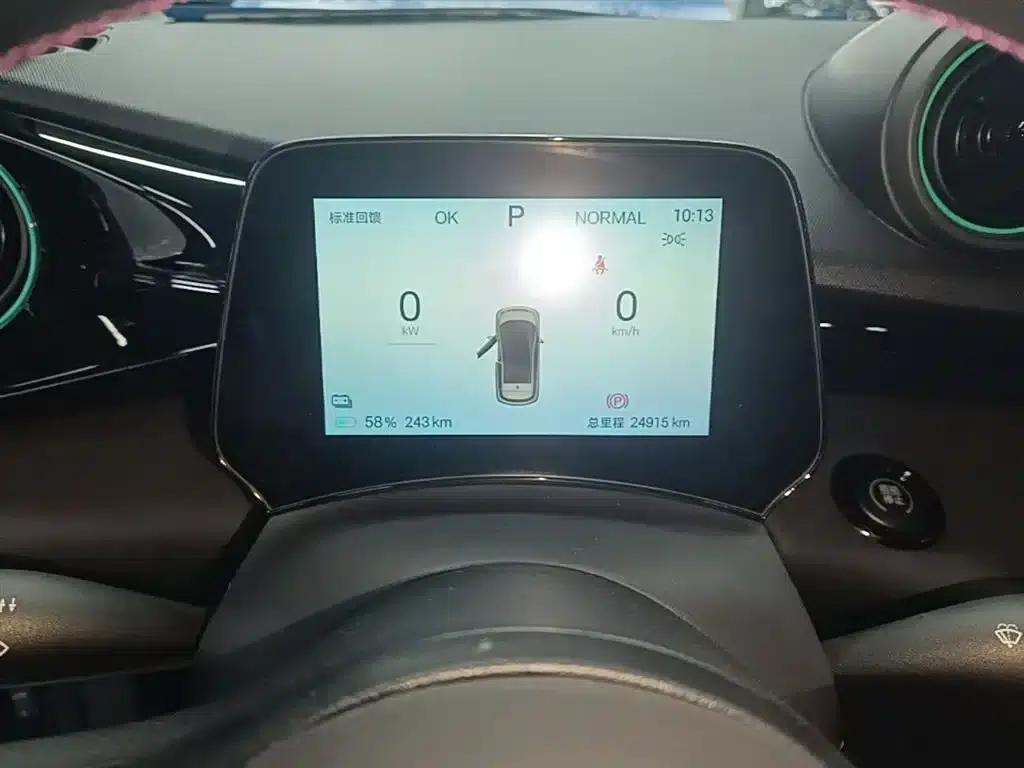Dolphin 2025 420km Vitality Edition — миниатюра 12