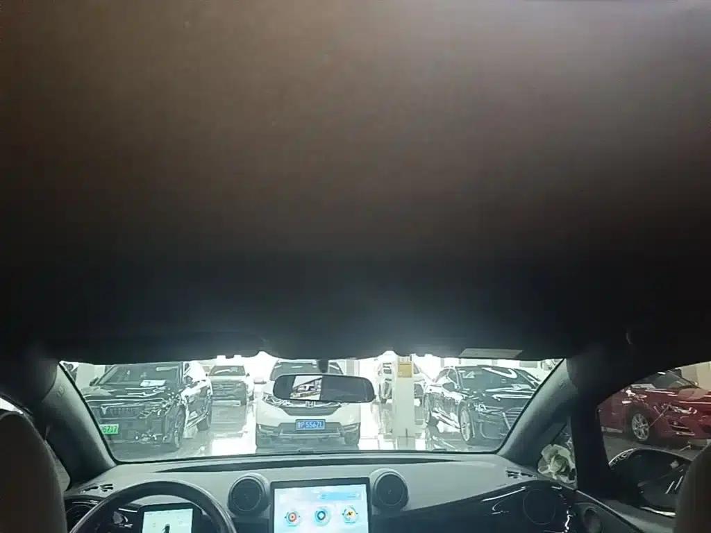 Dolphin 2025 420km Vitality Edition — миниатюра 18