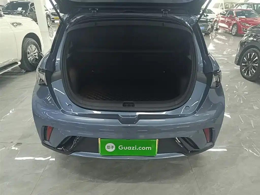 Dolphin 2025 420km Vitality Edition — миниатюра 19