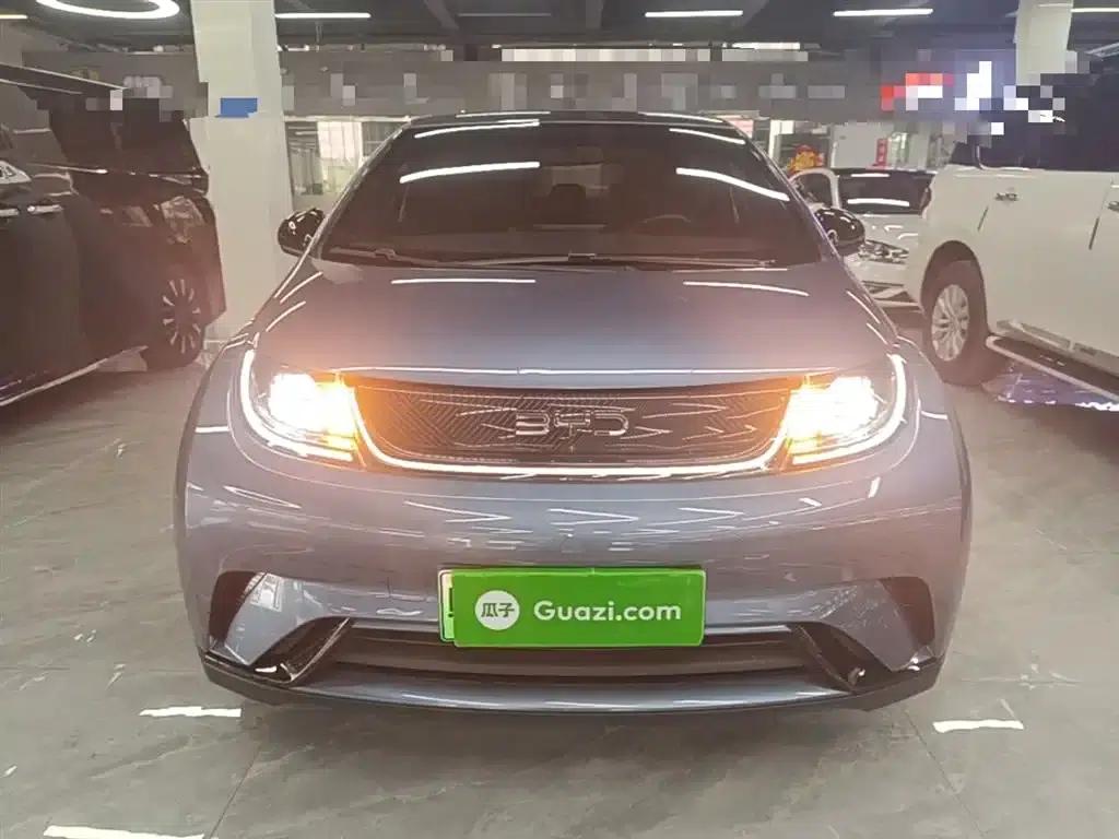Dolphin 2025 420km Vitality Edition — миниатюра 3