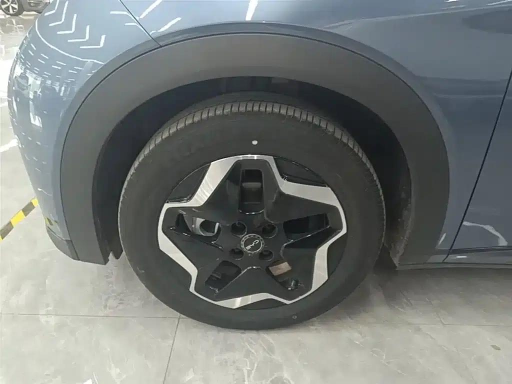 Dolphin 2025 420km Vitality Edition — миниатюра 23