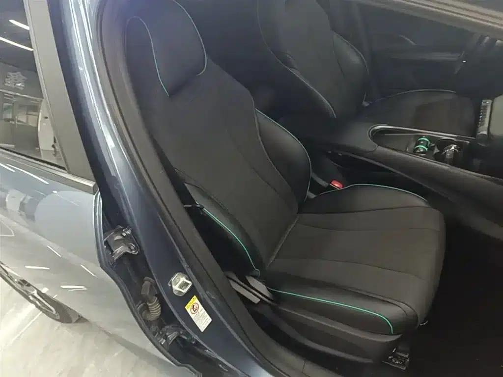 Dolphin 2025 420km Vitality Edition — миниатюра 25