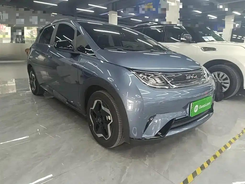 Dolphin 2025 420km Vitality Edition — миниатюра 4