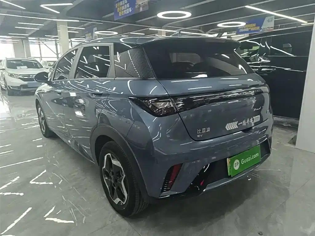 Dolphin 2025 420km Vitality Edition — миниатюра 5
