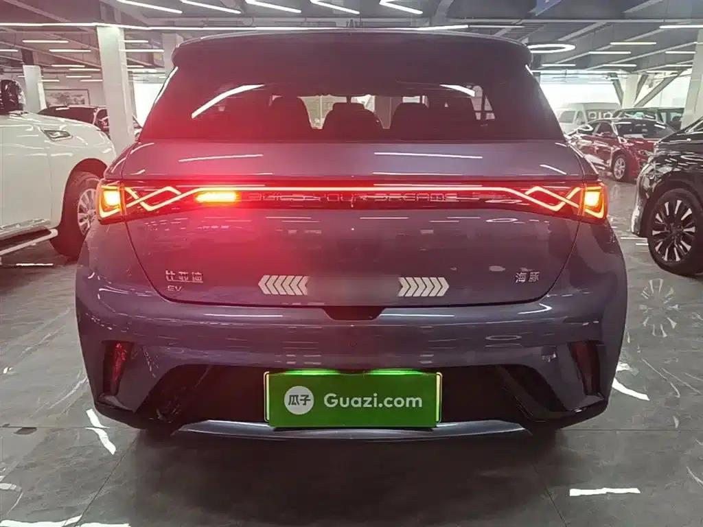 Dolphin 2025 420km Vitality Edition — миниатюра 6