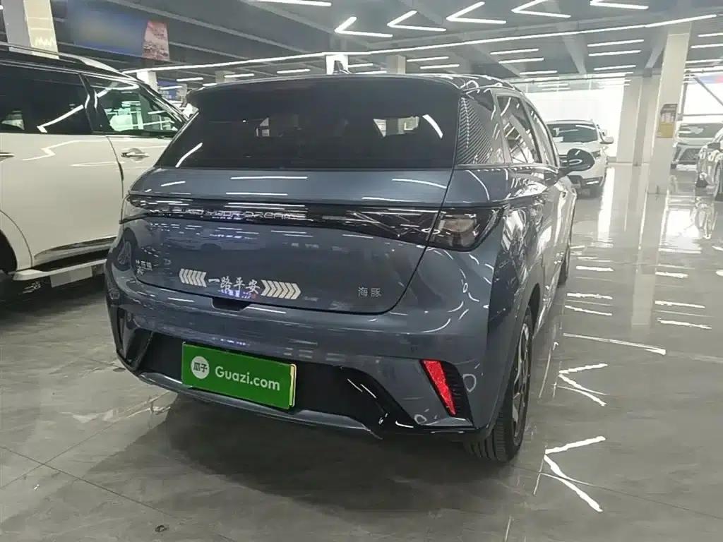Dolphin 2025 420km Vitality Edition — миниатюра 7
