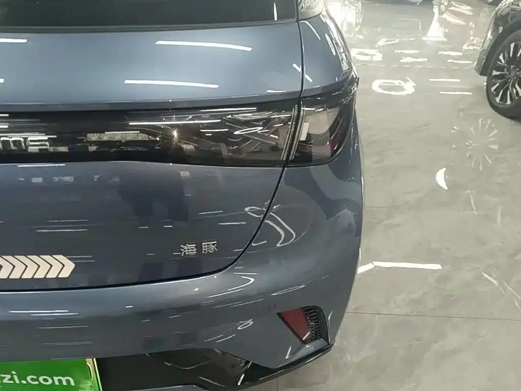 Dolphin 2025 420km Vitality Edition — миниатюра 8