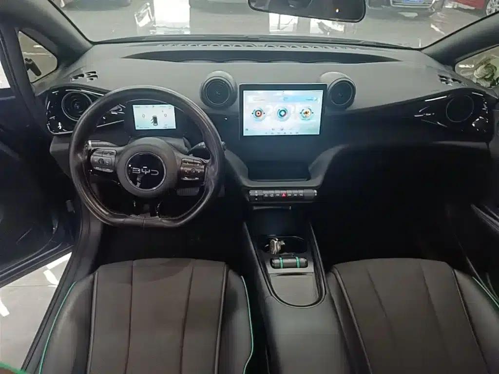 Dolphin 2025 420km Vitality Edition — миниатюра 10
