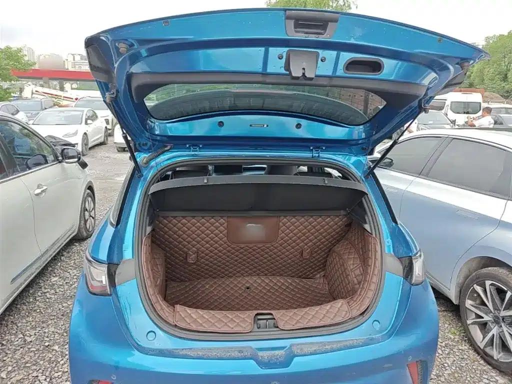 Dolphin 2021 405km Freedom Edition — миниатюра 19