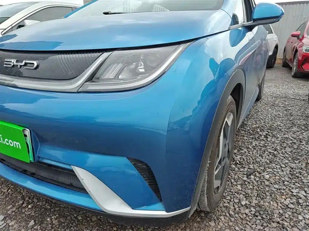 Dolphin 2021 405km Freedom Edition — миниатюра 24