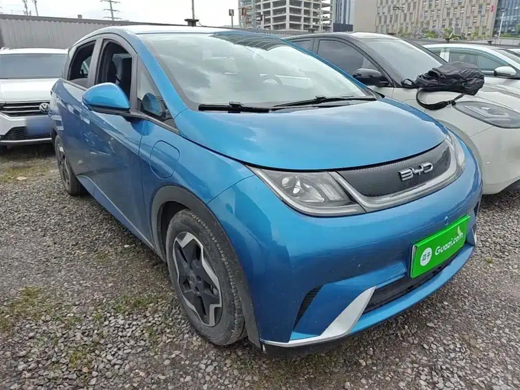 Dolphin 2021 405km Freedom Edition — миниатюра 4