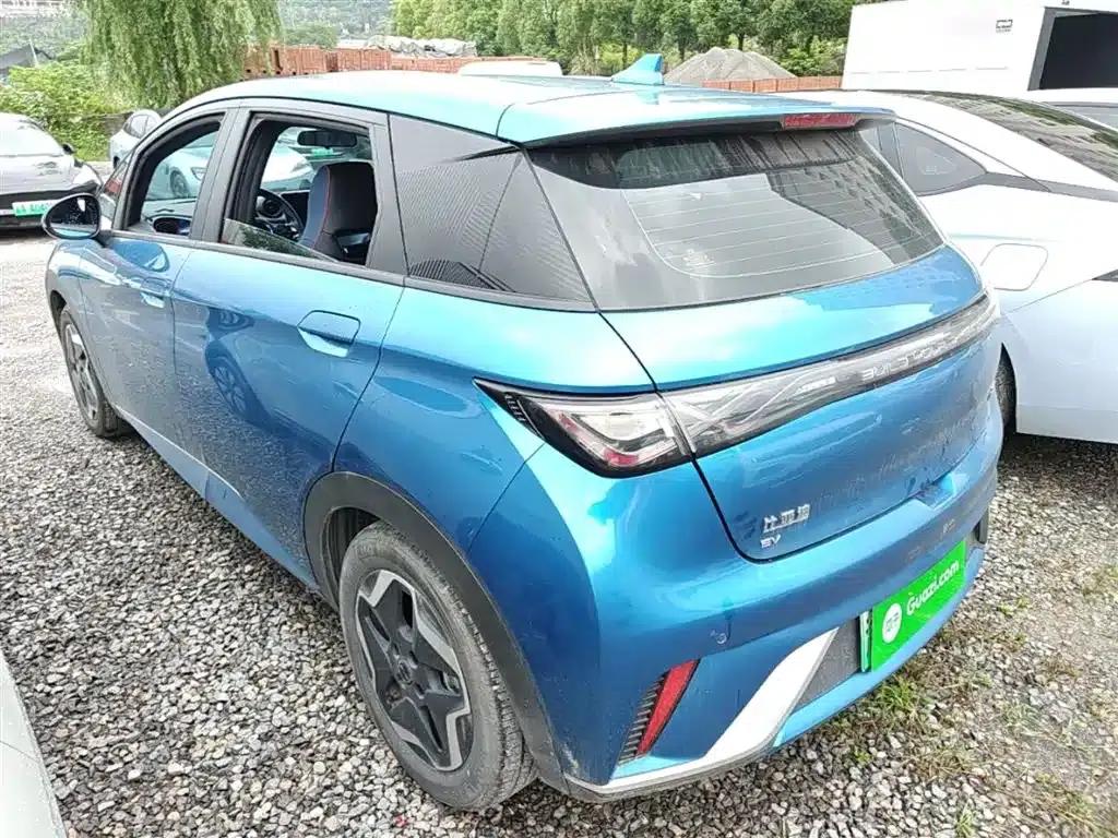 Dolphin 2021 405km Freedom Edition — миниатюра 5