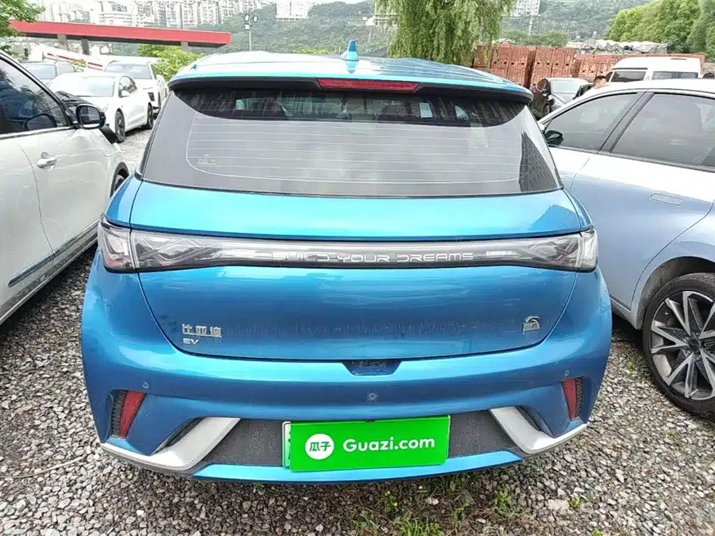 Dolphin 2021 405km Freedom Edition — миниатюра 6
