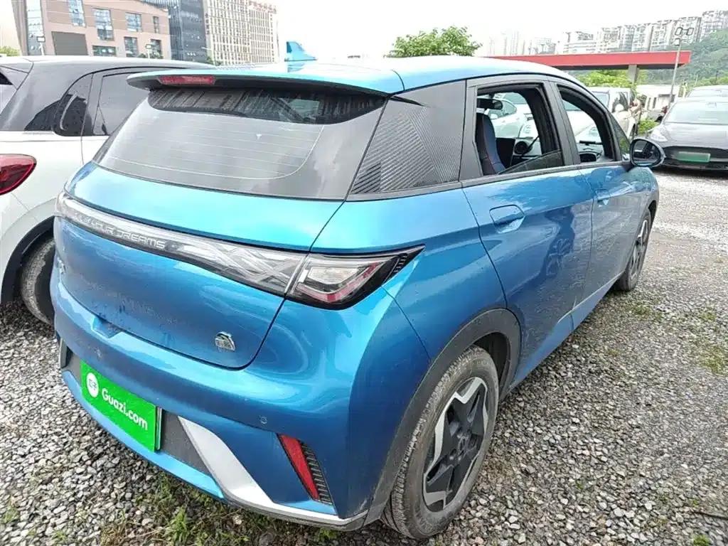 Dolphin 2021 405km Freedom Edition — миниатюра 7