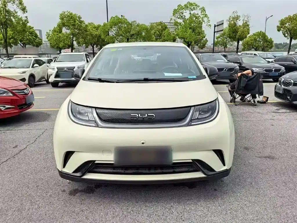 Dolphin 2023 420km Freedom Edition — миниатюра 3