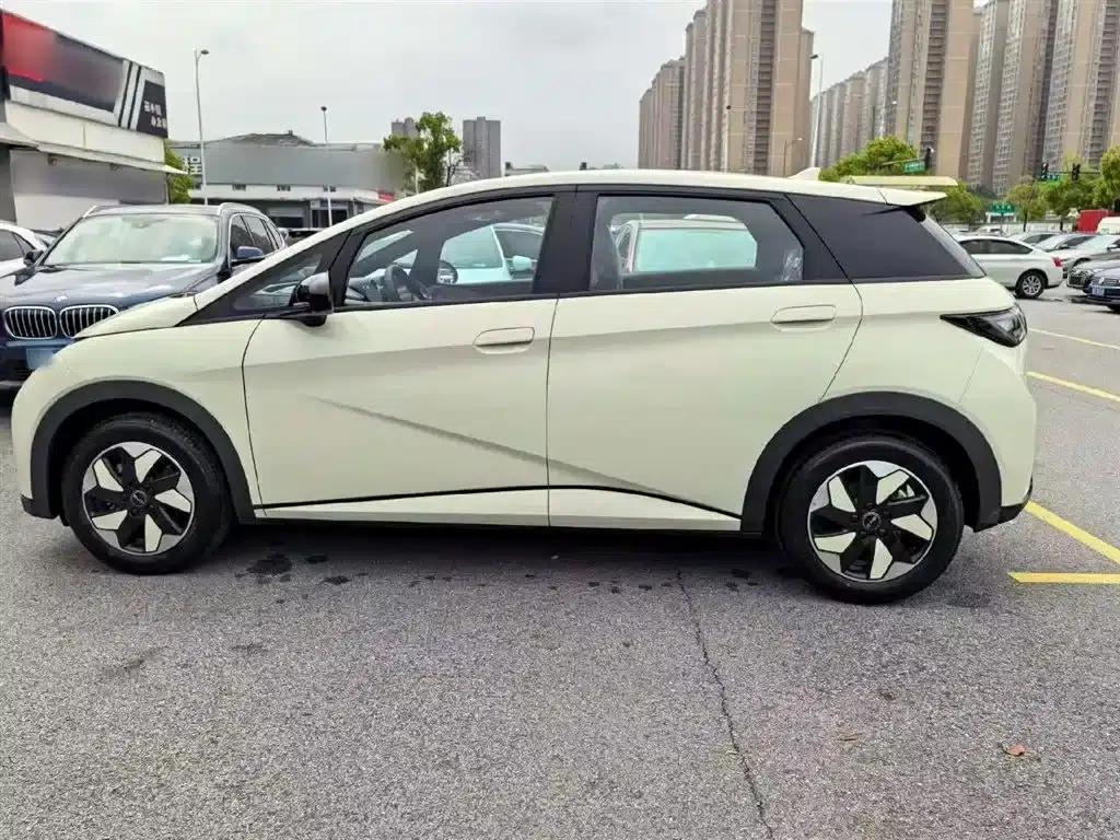 Dolphin 2023 420km Freedom Edition — миниатюра 4