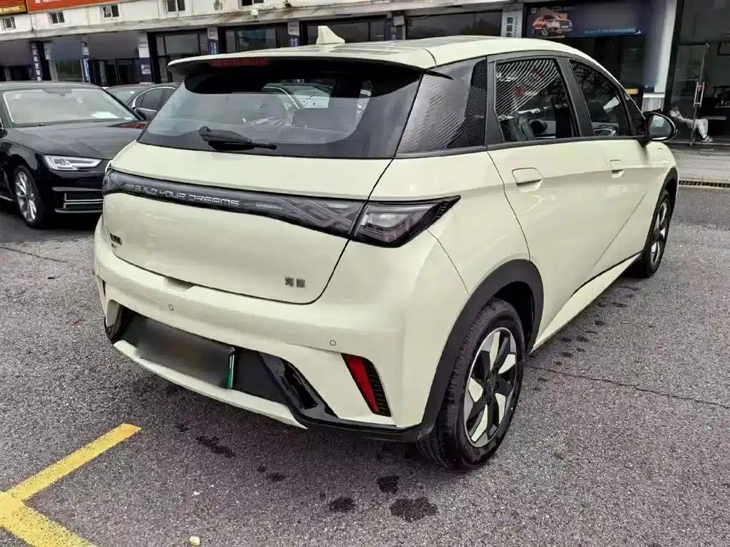 Dolphin 2023 420km Freedom Edition — миниатюра 5