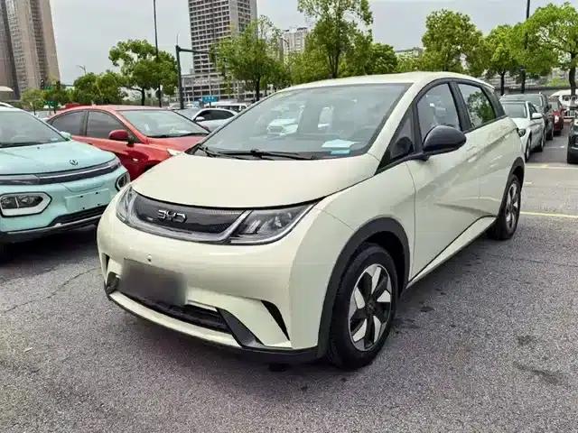 Dolphin 2023 420km Freedom Edition