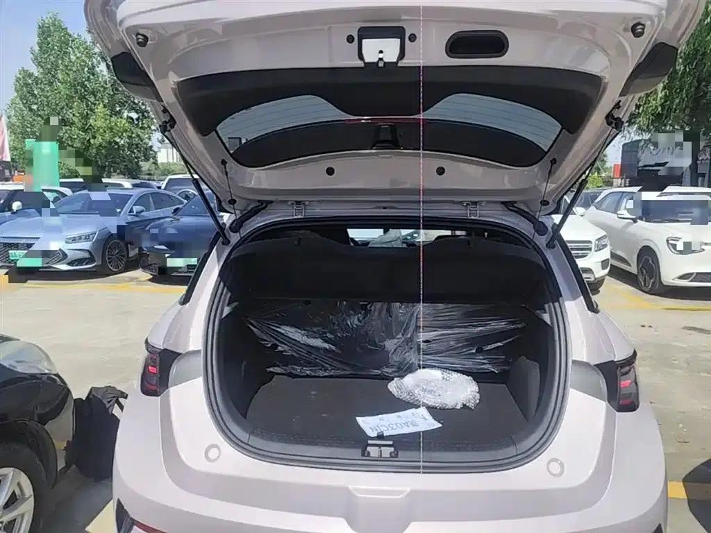 Dolphin 2025 Smart Driving Edition 410km Fashion Edition — миниатюра 19