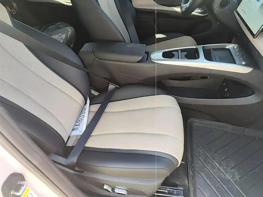 Dolphin 2025 Smart Driving Edition 410km Fashion Edition — миниатюра 25