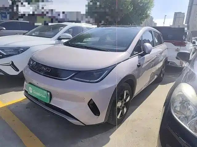 Dolphin 2025 Smart Driving Edition 410km Fashion Edition
