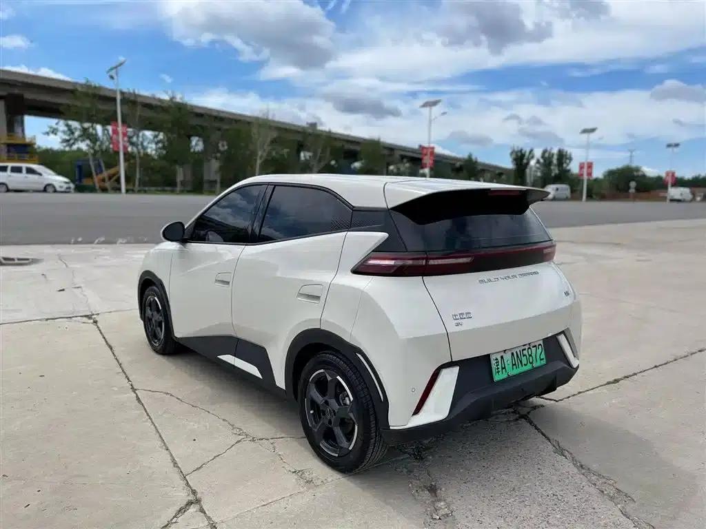Seagull 2023 Flying Edition — миниатюра 5