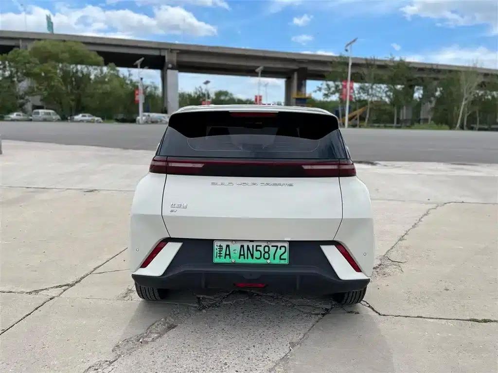 Seagull 2023 Flying Edition — миниатюра 6