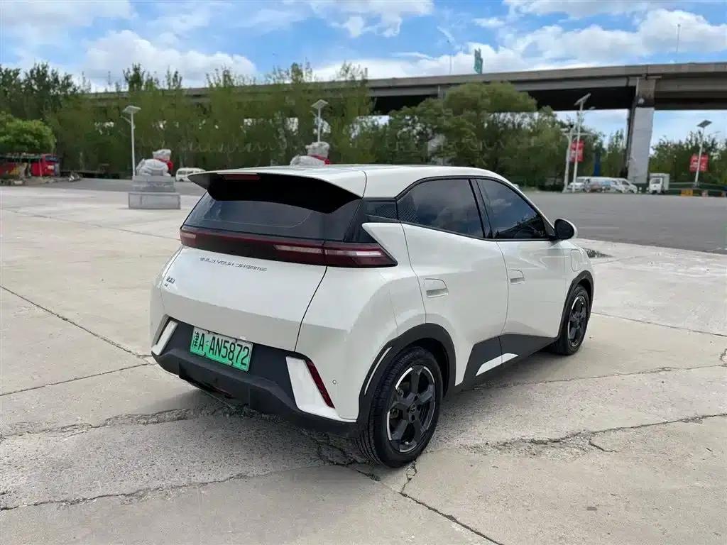 Seagull 2023 Flying Edition — миниатюра 7