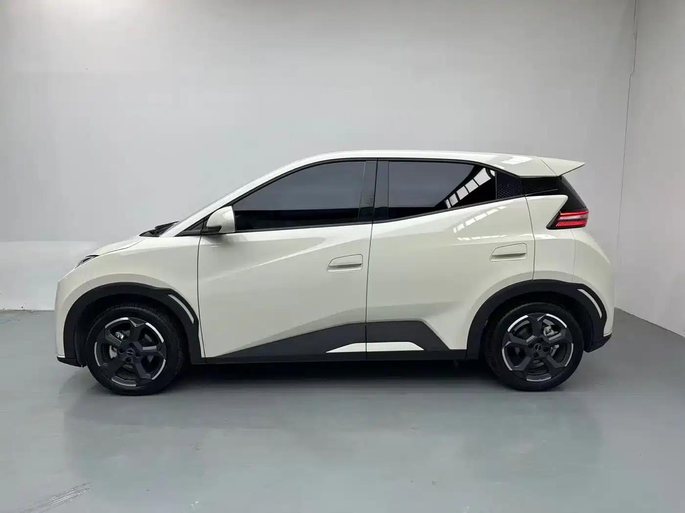 Seagull 2023 Freedom Edition — миниатюра 3
