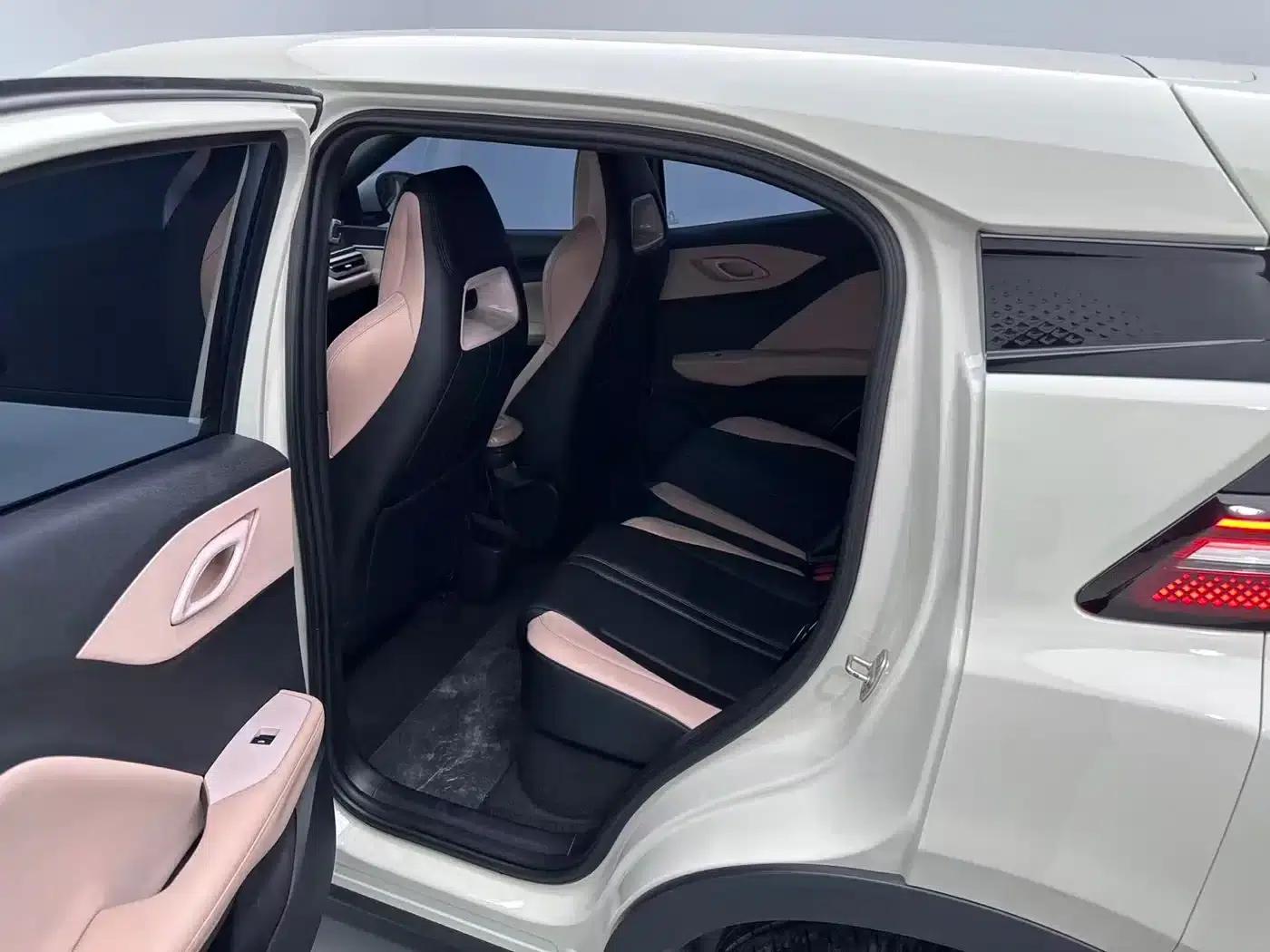 Seagull 2023 Freedom Edition — миниатюра 6