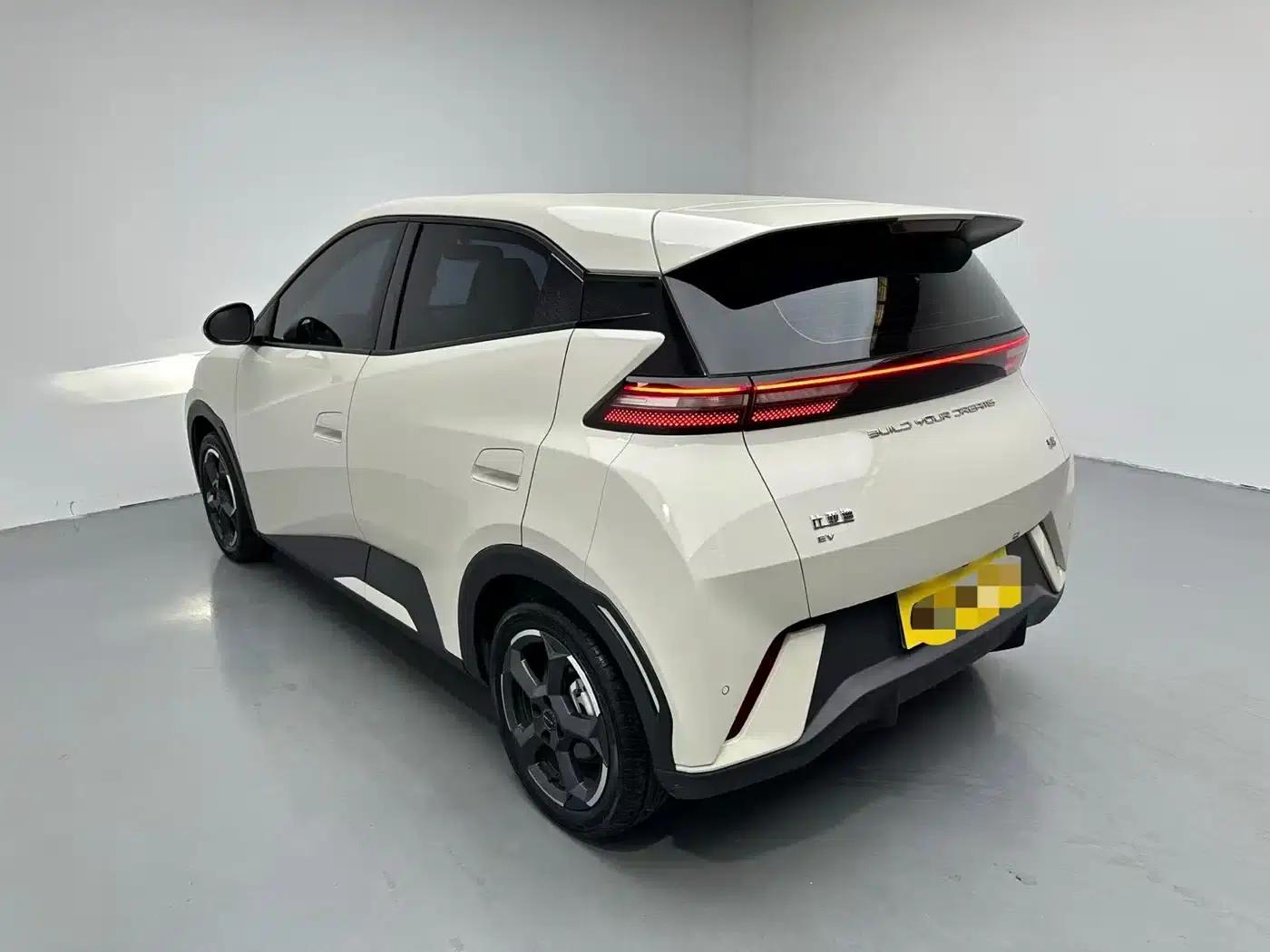 Seagull 2023 Freedom Edition — миниатюра 8