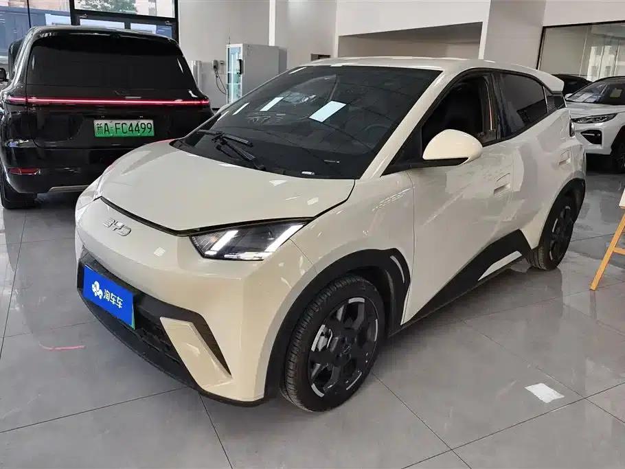 Seagull 2025 305km Freedom Edition — миниатюра 1