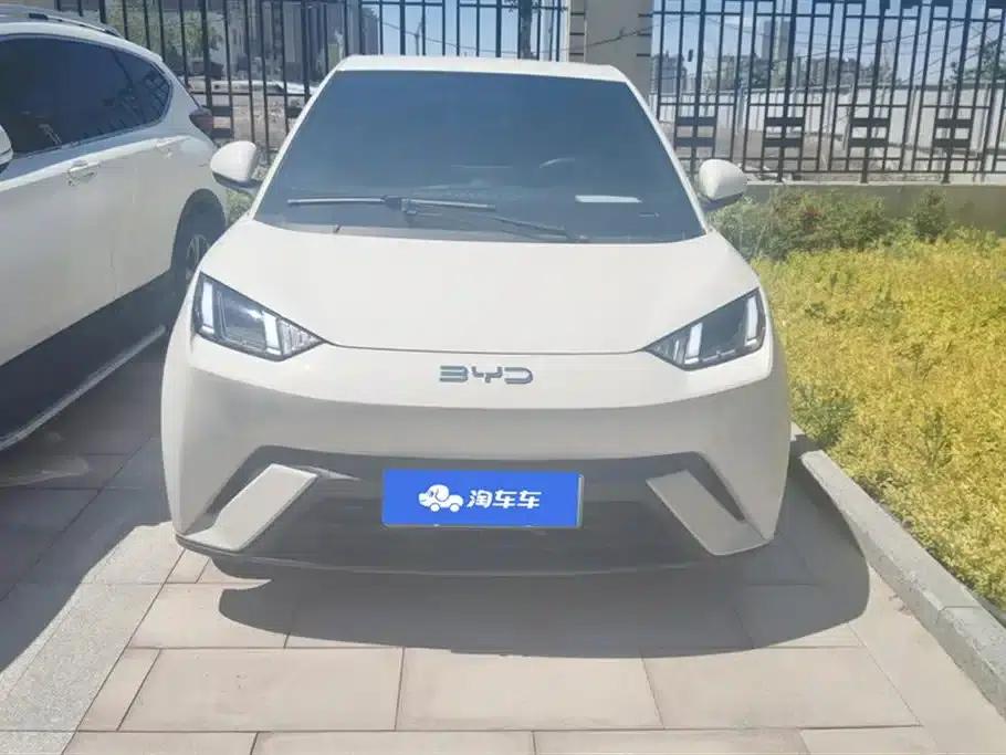 Seagull 2025 305km Freedom Edition — миниатюра 2