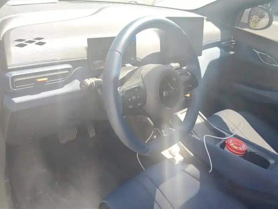 Seagull 2025 305km Freedom Edition — миниатюра 12