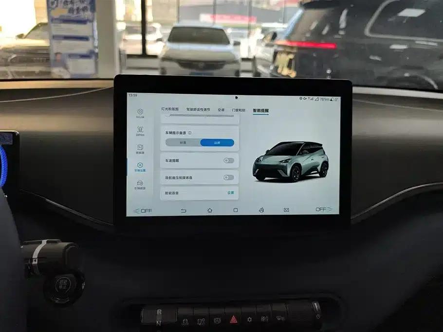 Seagull 2025 305km Freedom Edition — миниатюра 13