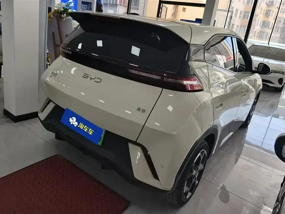 Seagull 2025 305km Freedom Edition — миниатюра 3