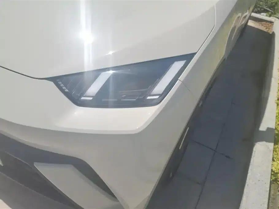 Seagull 2025 305km Freedom Edition — миниатюра 5