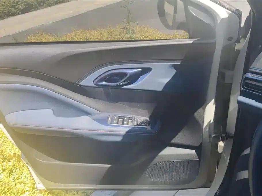 Seagull 2025 305km Freedom Edition — миниатюра 7