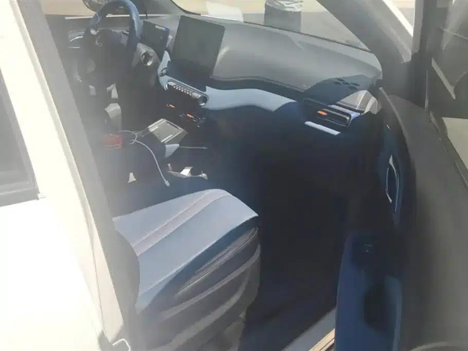 Seagull 2025 305km Freedom Edition — миниатюра 8