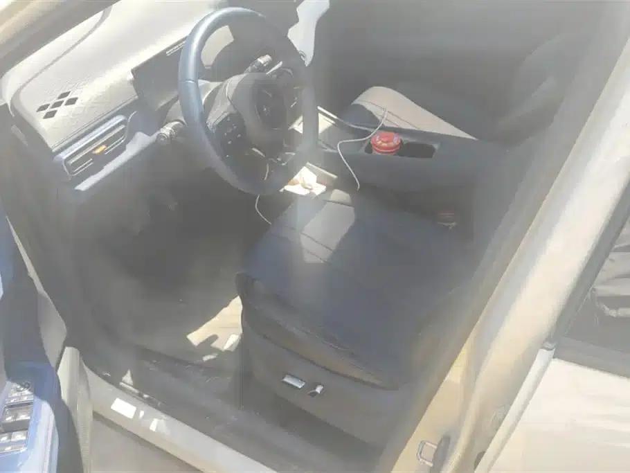 Seagull 2025 305km Freedom Edition — миниатюра 9